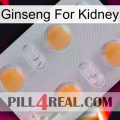 Ginseng For Kidney 24